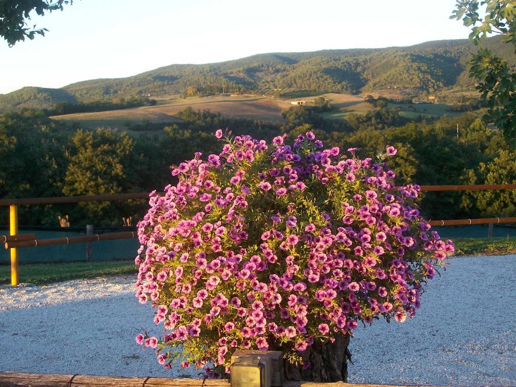 Casale Il Colle Deruta 빌라 외부 사진