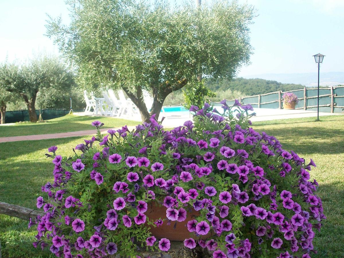 Casale Il Colle Deruta 빌라 외부 사진